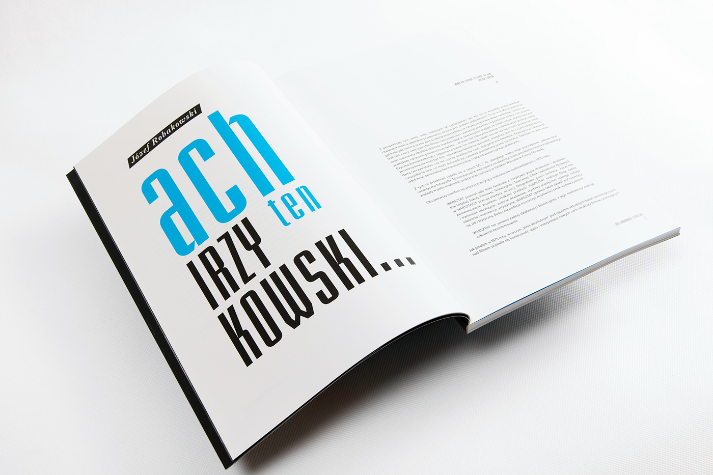 graphic design  book cover idea robakowski museum book design editorial conceptual polish avant-garde poster