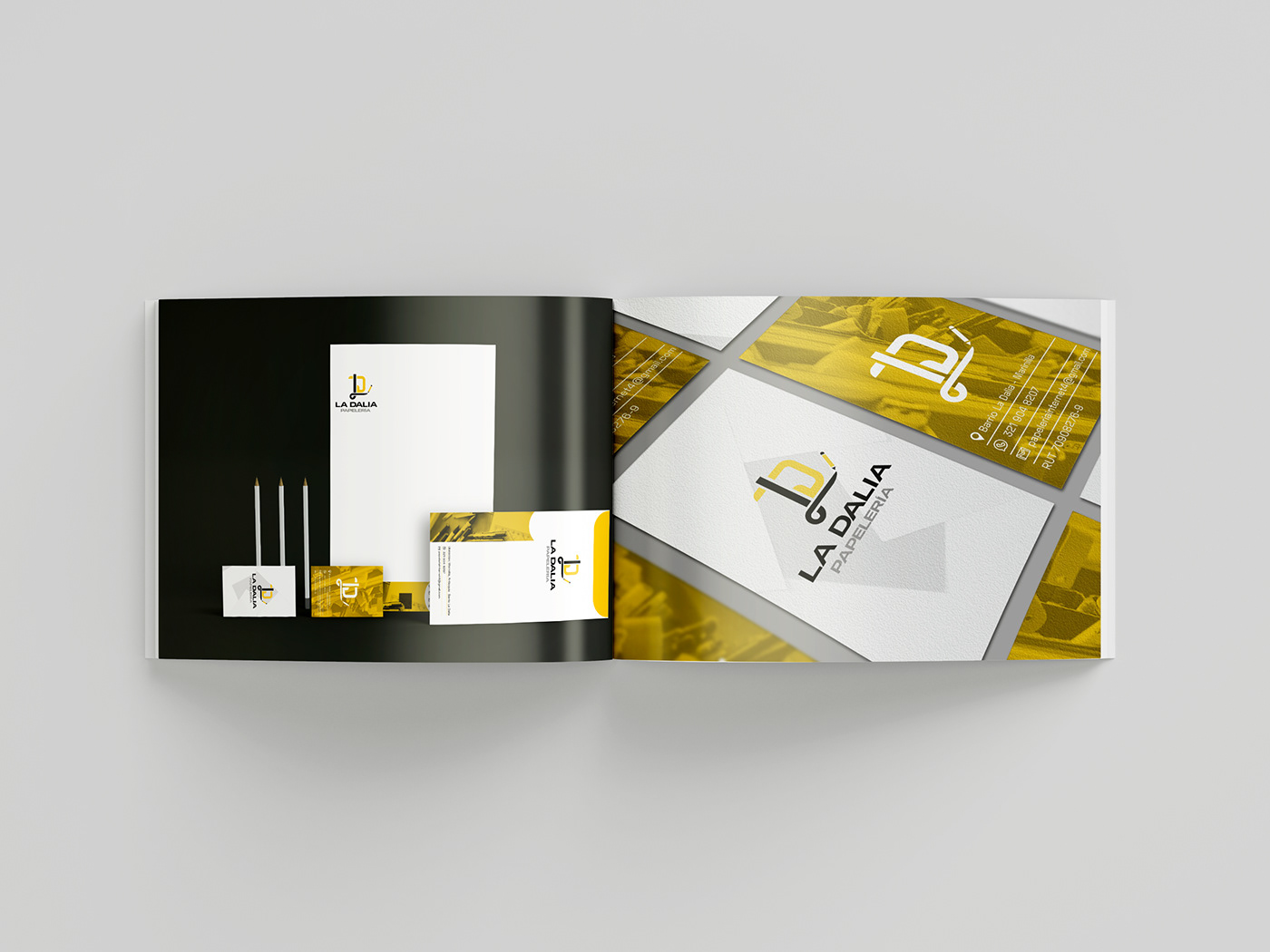marca Manual de Marca identidade visual diseño gráfico manual branding  visual identity adobe illustrator Normatividad