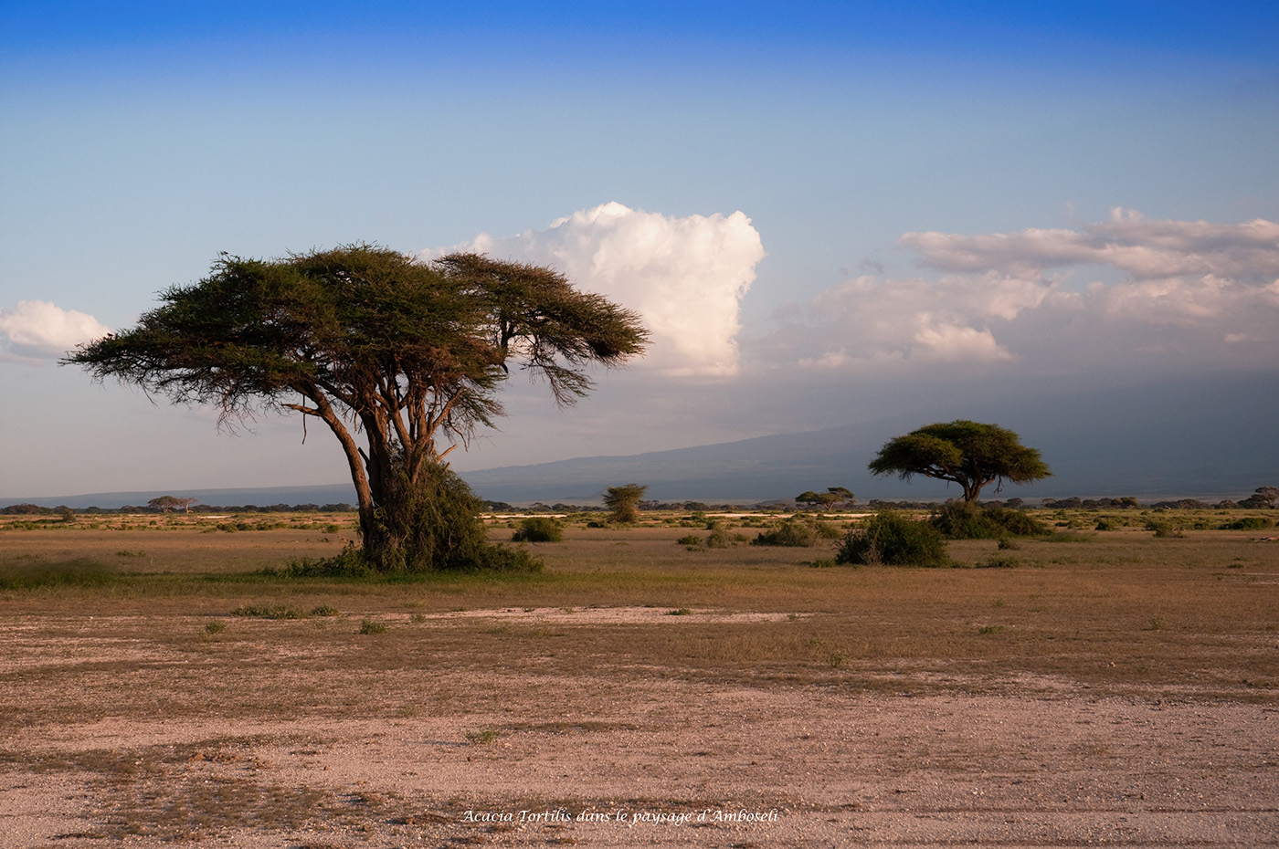 massai kenya Samburu