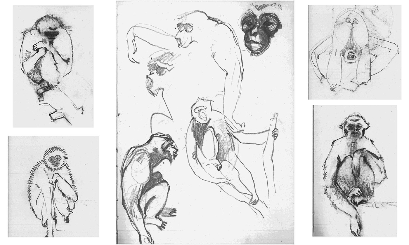 animation  ape charcoal classic animation gibbon lightbox sketch sketchbook storyboard study