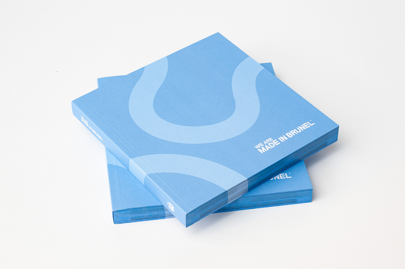 book book design editorial editorial design  graphic design  print publication showcase Student work typography  