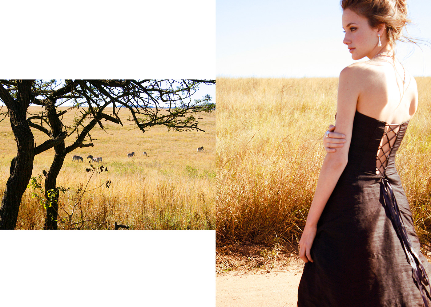 Tanishq jewelry Fashion  editorial fashion photography portrait model photoshoot Landscape africa black dress