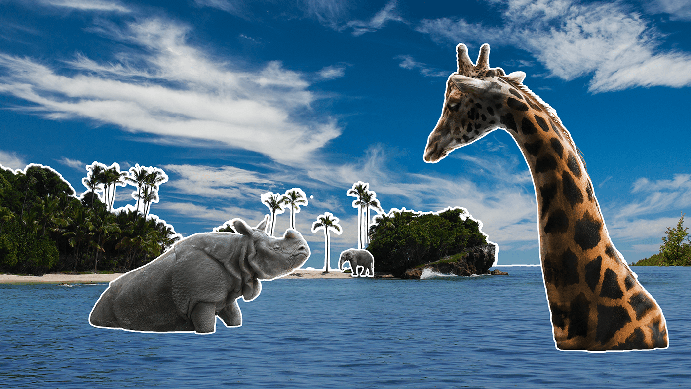 beach elephant giraffe Island manipulation Ocean photomanipulation photomontage Rhinoceros sea