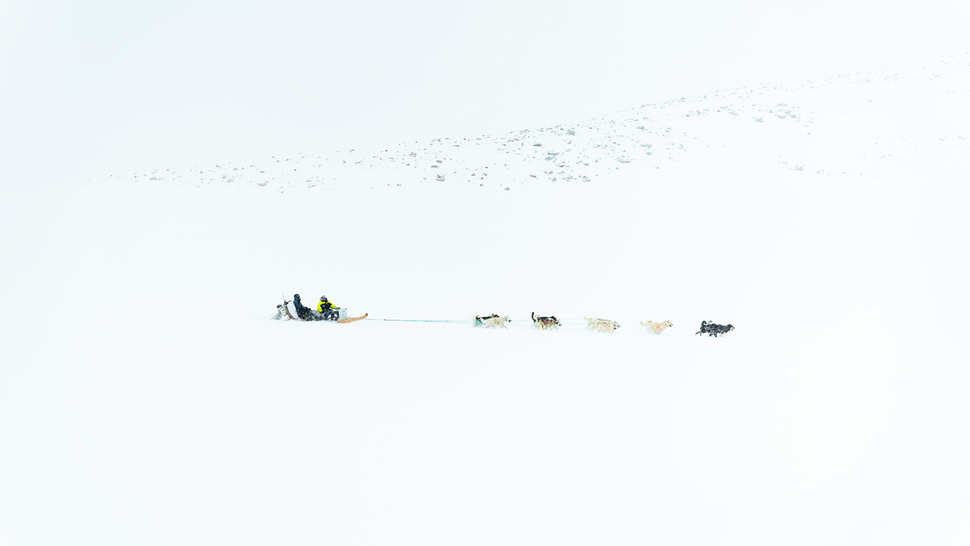 Greenland Arctic winter dogs snow remote ice White Nature Landscape