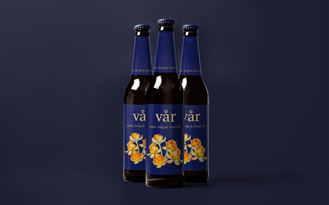 Packaging branding  norway beer craft Fruit beverage alcohol brewery adobeawards