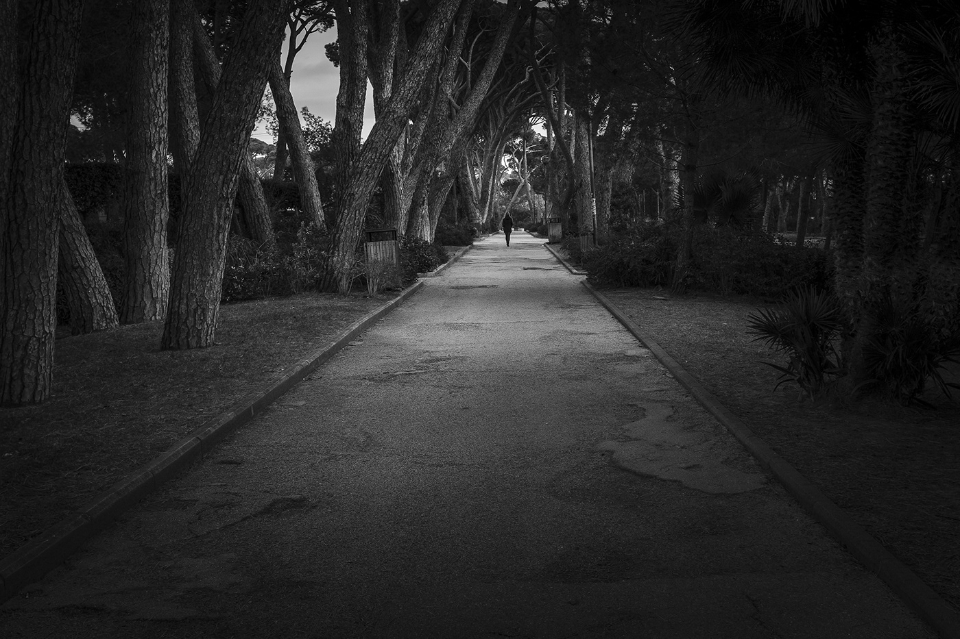 Silhouette Fabio Giachetti b&w street photography Street black and white