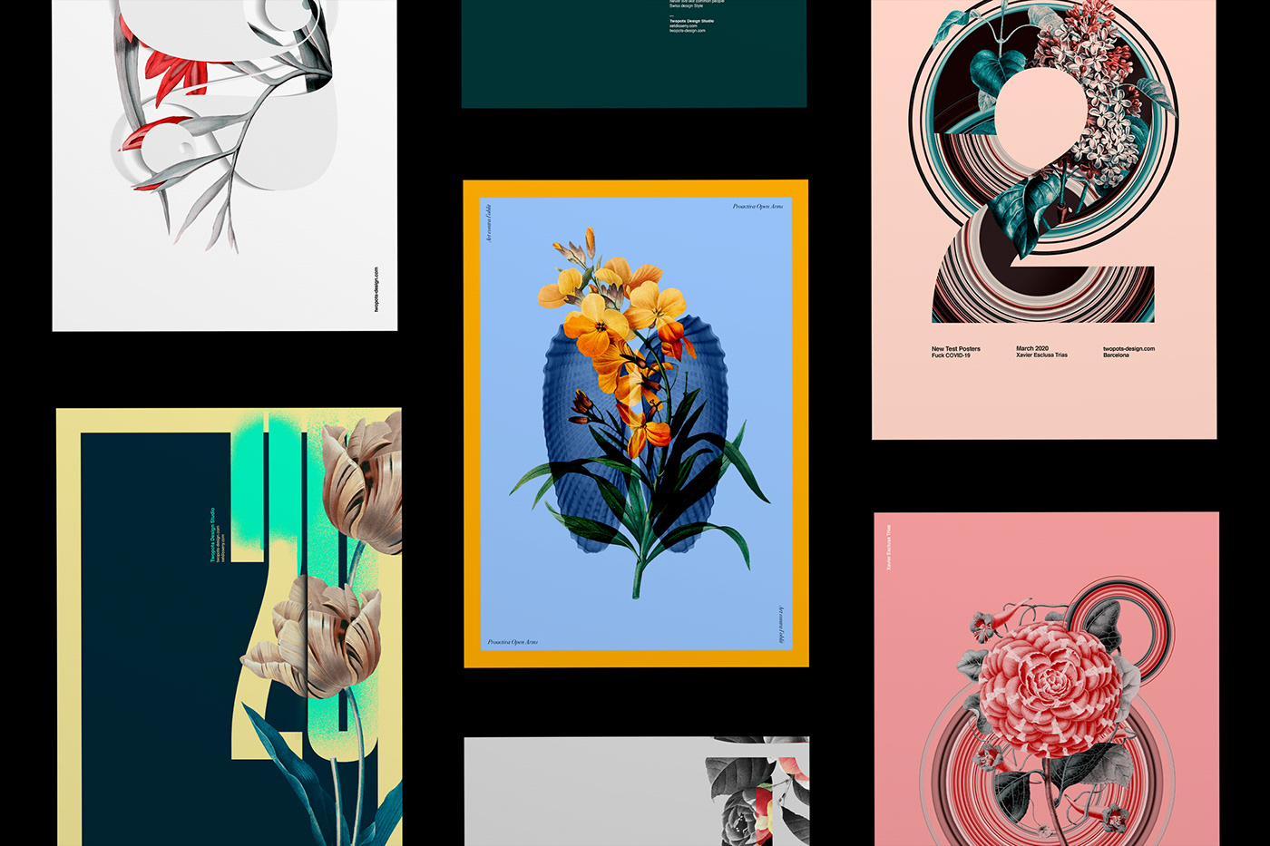 Behance Flowers graphic design  Illustrator photoshop poster poster collection Poster Design posters Xavier Esclusa Trias
