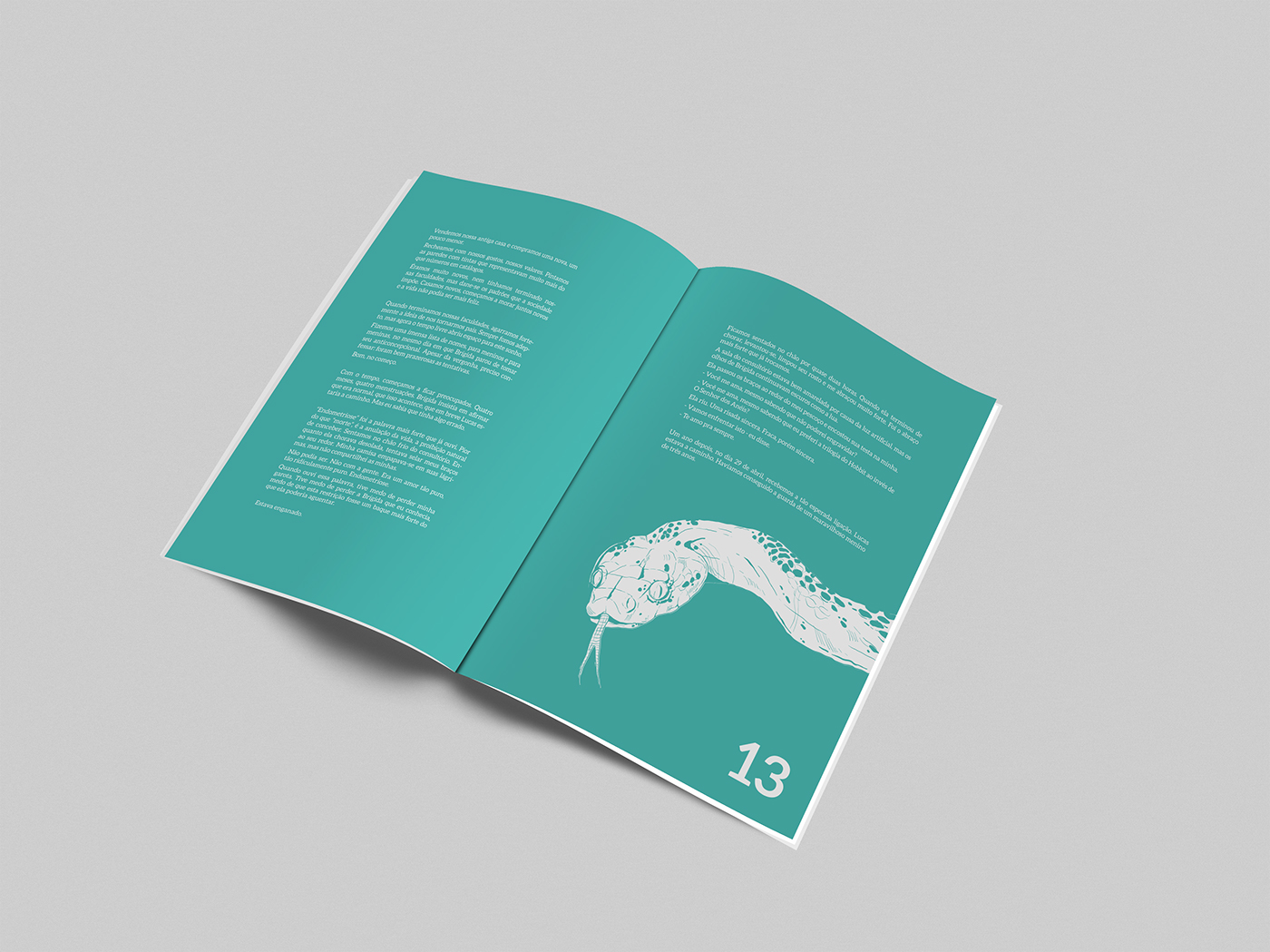 editorial design ILLUSTRATION  magazine book Project graphic typography   tale Layout