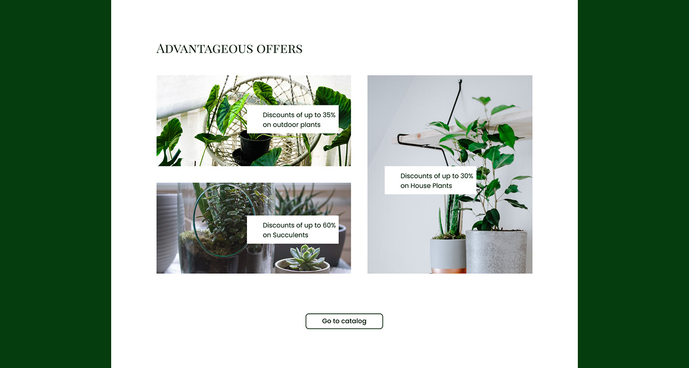 Figma green house landscaping plants дизайн сайта комнатные растения озеленение офиса офис сад в доме и офисе