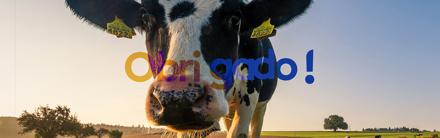 cow farm Pet design brand identity identity designer new Food  animal feed