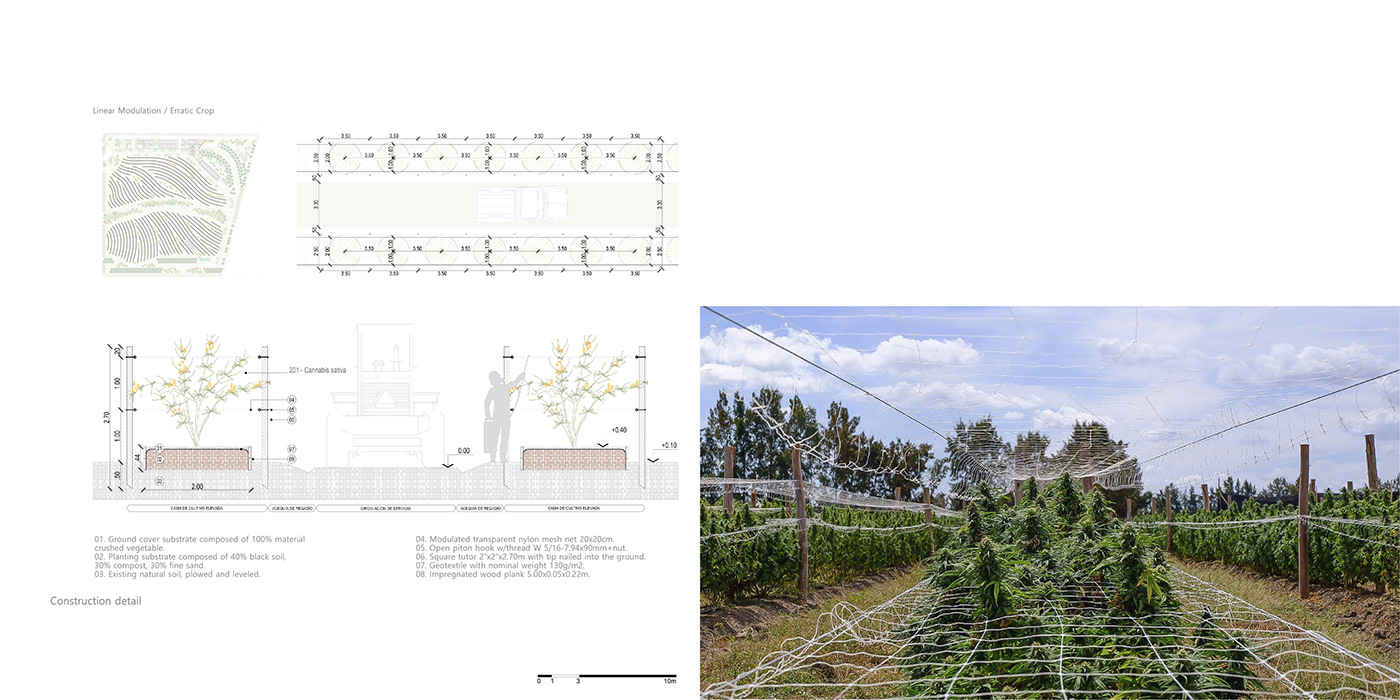 Ecology Landscape Steel Structure agroecologia artconcept Planning and Design