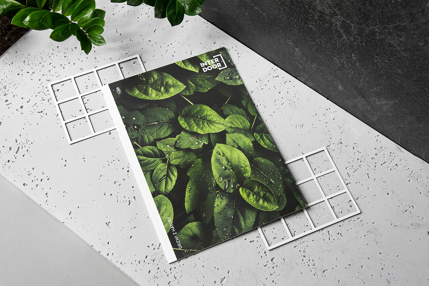 catalog publication editorial design  Layout print brochure magazine editorial book design icons