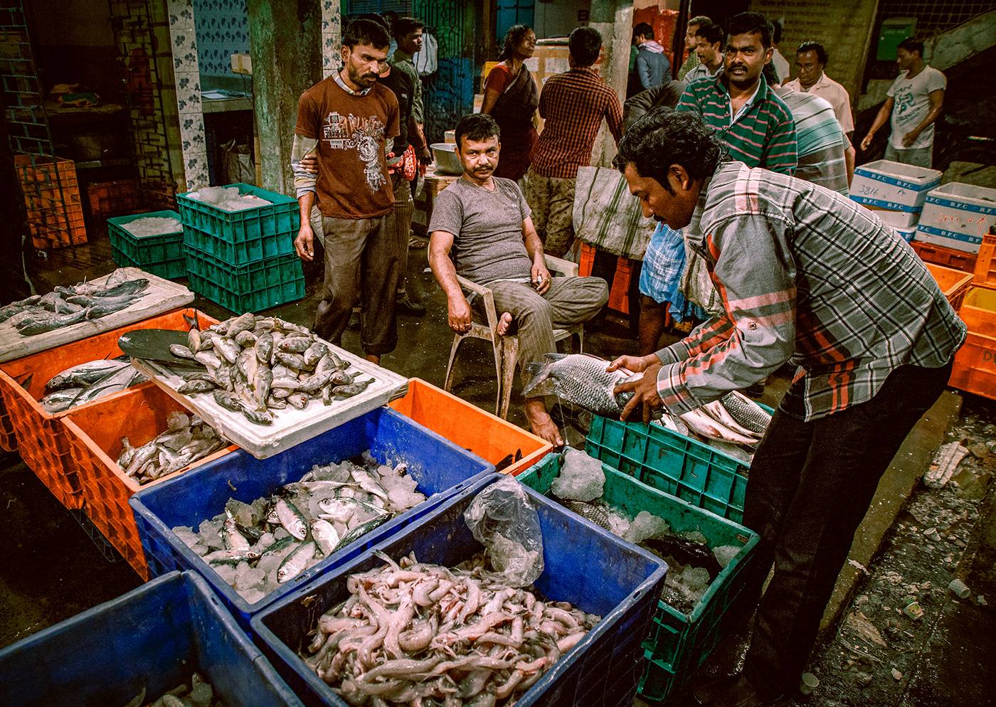 fish fish market Fish Vendors gloomy light India indian market night Photography  photojournalism  photoshop