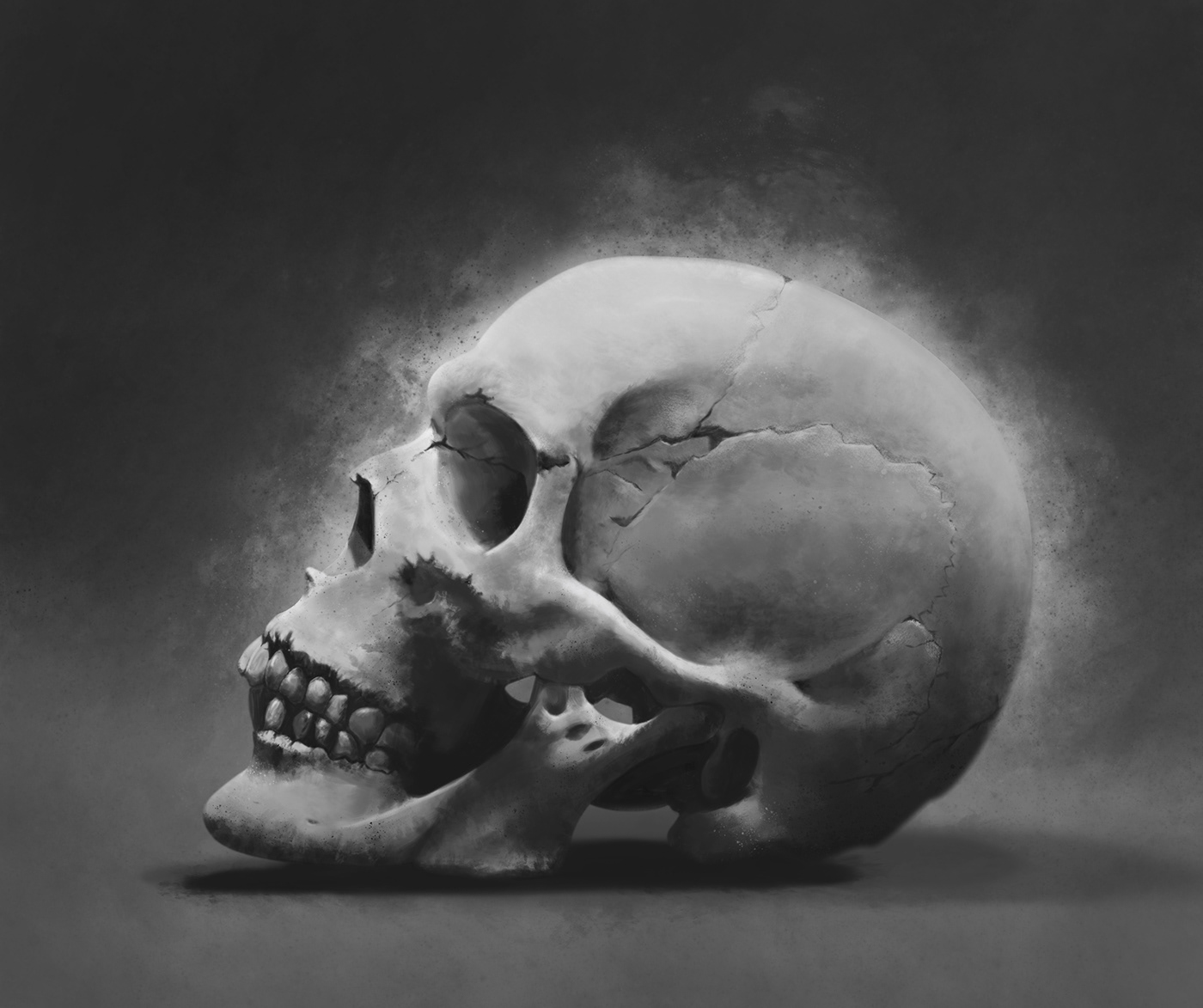 digital painting skull digital illustration shading black and white digital Drawing 