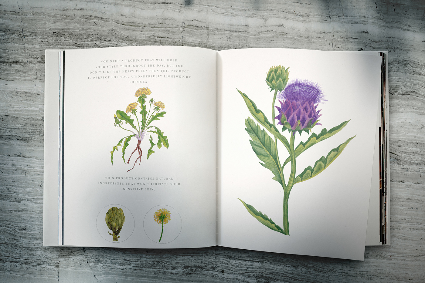 bookcover bookcoverdesign botanical illustration Nature Creative Design book magazine floralillustration frontcover illustrationforbook