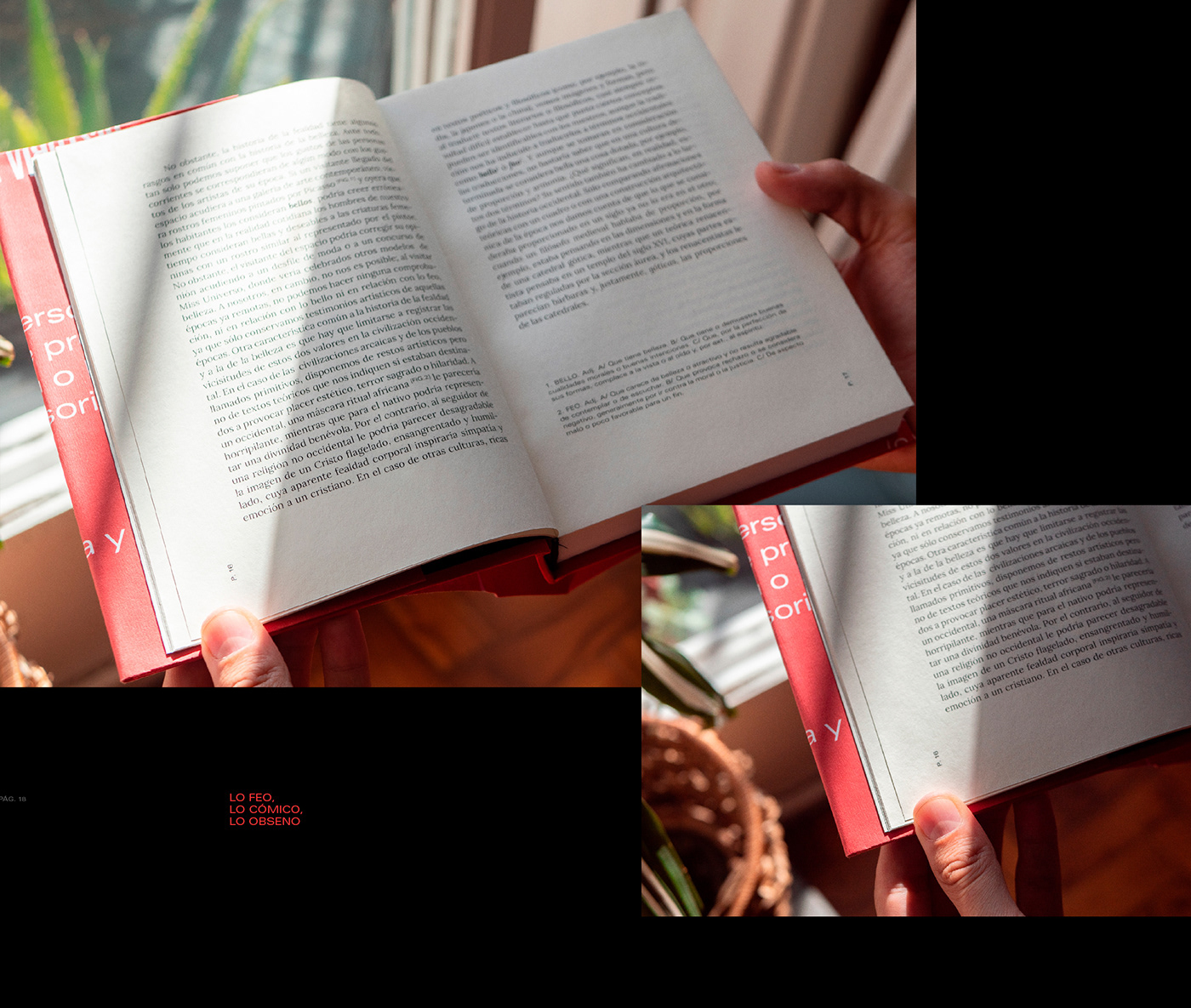 book brand branding  Collection editorial fadu graphic design  Layout type typography  