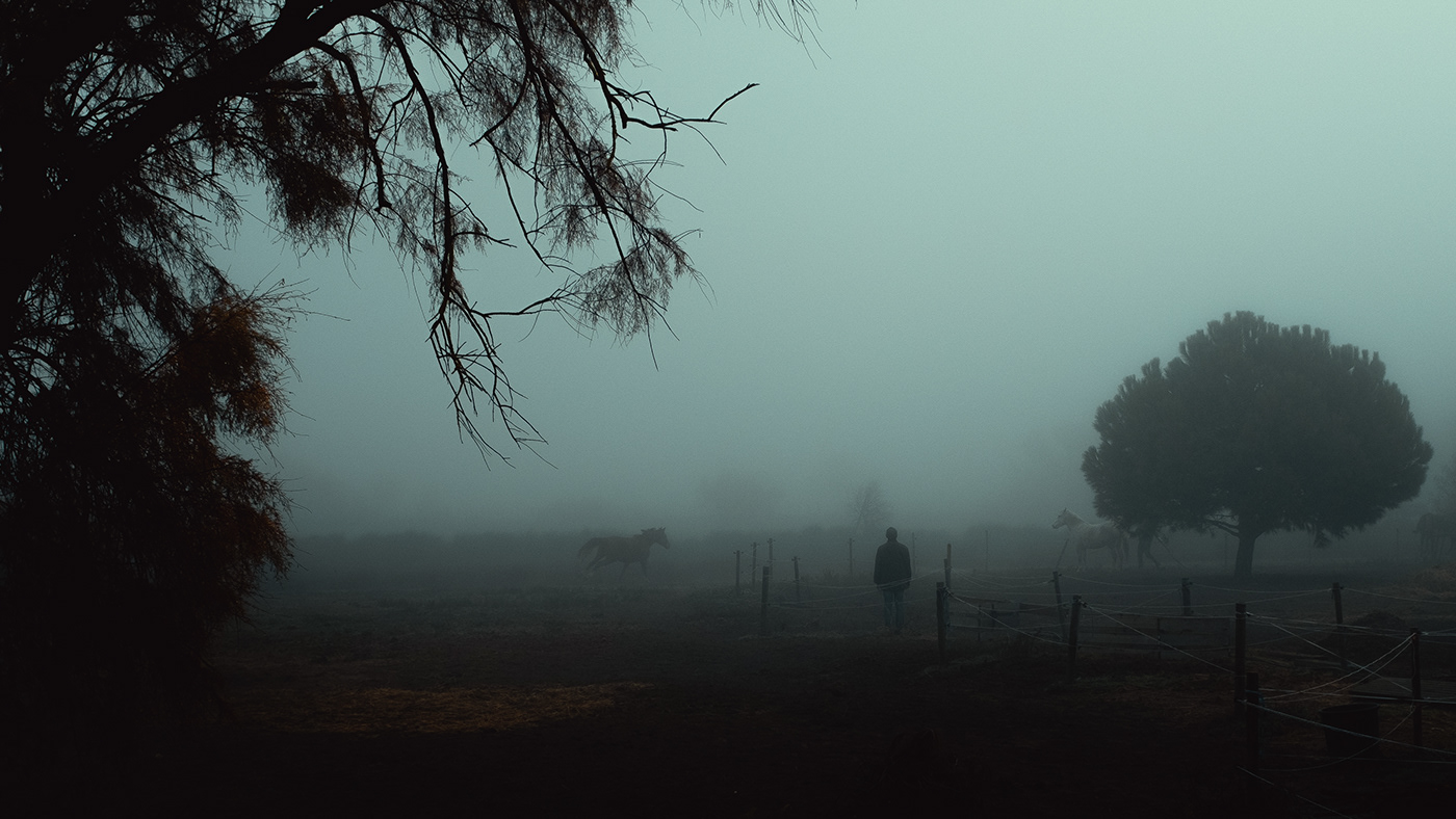 Camargue fog france fujifilm horse Landscape Nature paysage Photographie Photography 