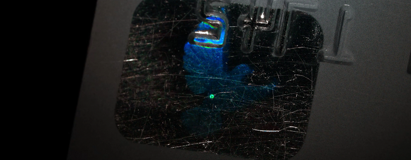 acid Cyberpunk future holographic macro Magic   neon Photography  reality rootine