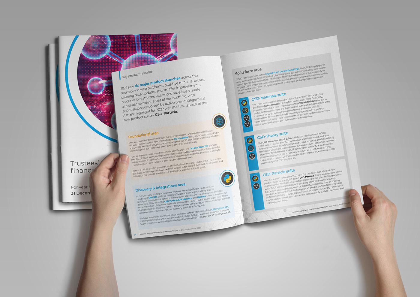 design report design brochure print InDesign Layout