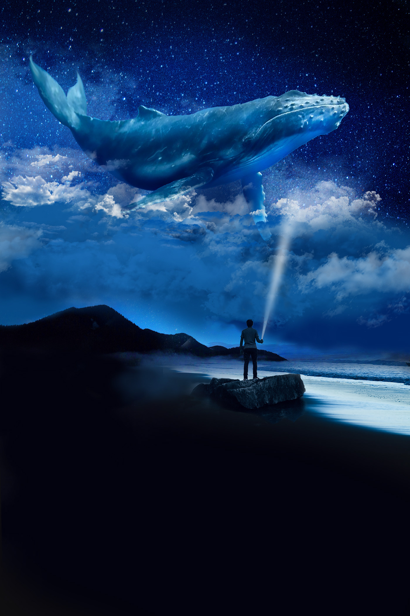 Whale cloud  night person