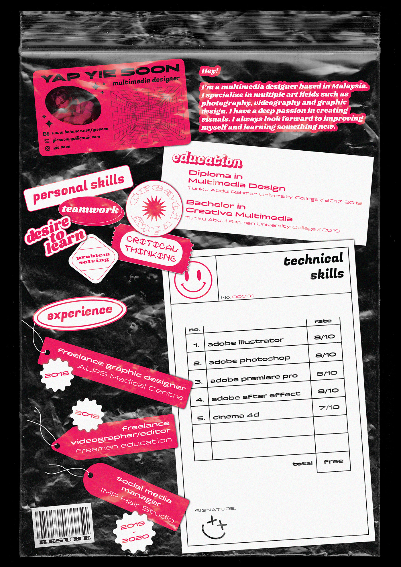 CV design graphic graphic design  pink portfolio rave Resume resume design