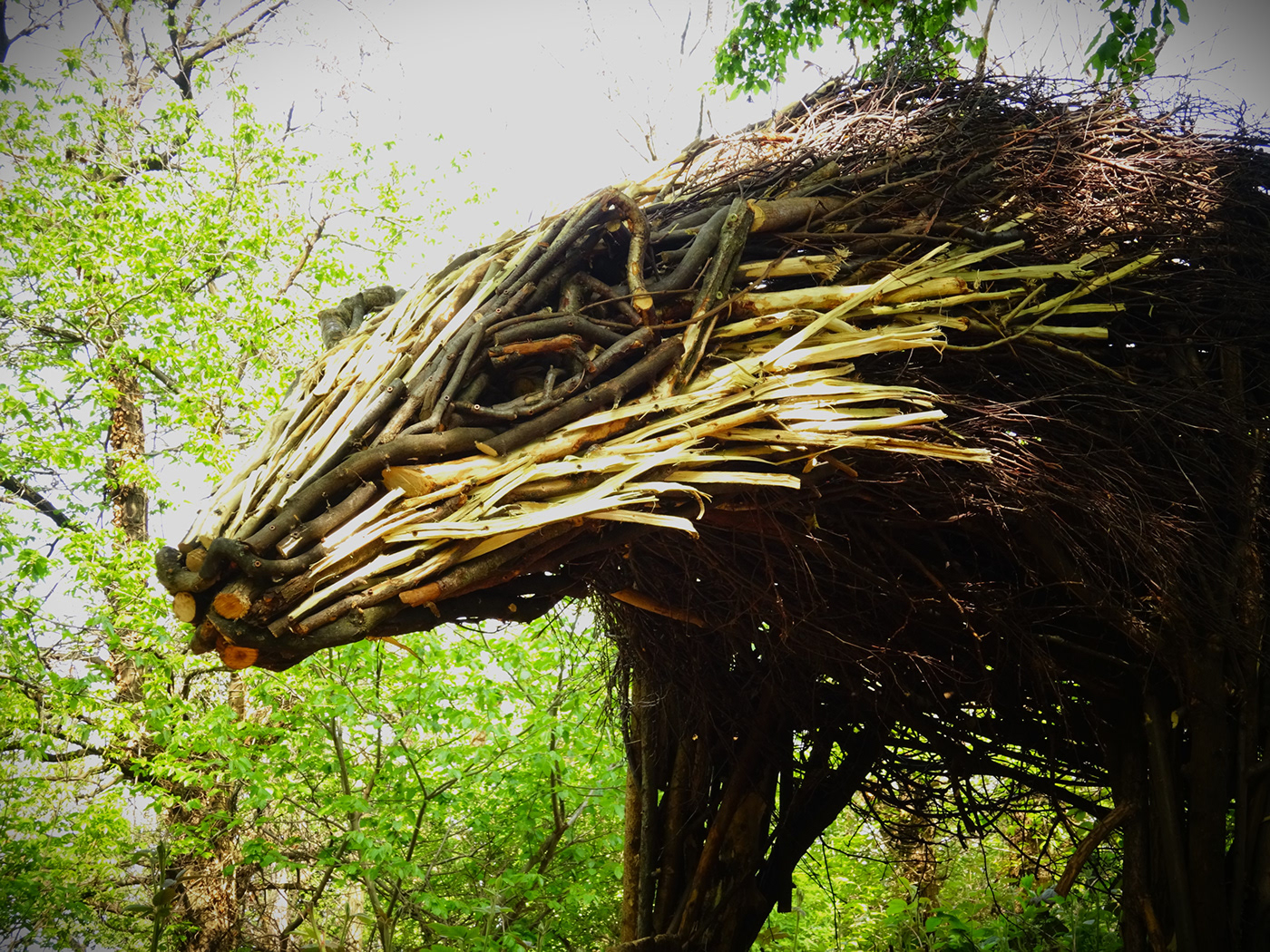 landart Nature sculpture animal wood ephemeral installation biodiversity Italy Landscape
