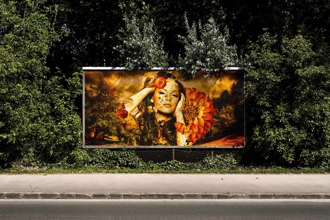lion girl color photoshop creative fire retouch Space  texture abstract