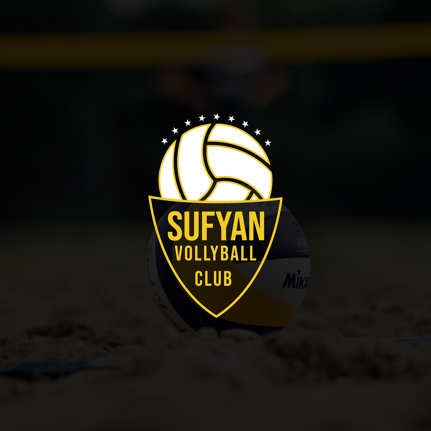 sportslogo logodesign volleyball Sports Design graphic design 