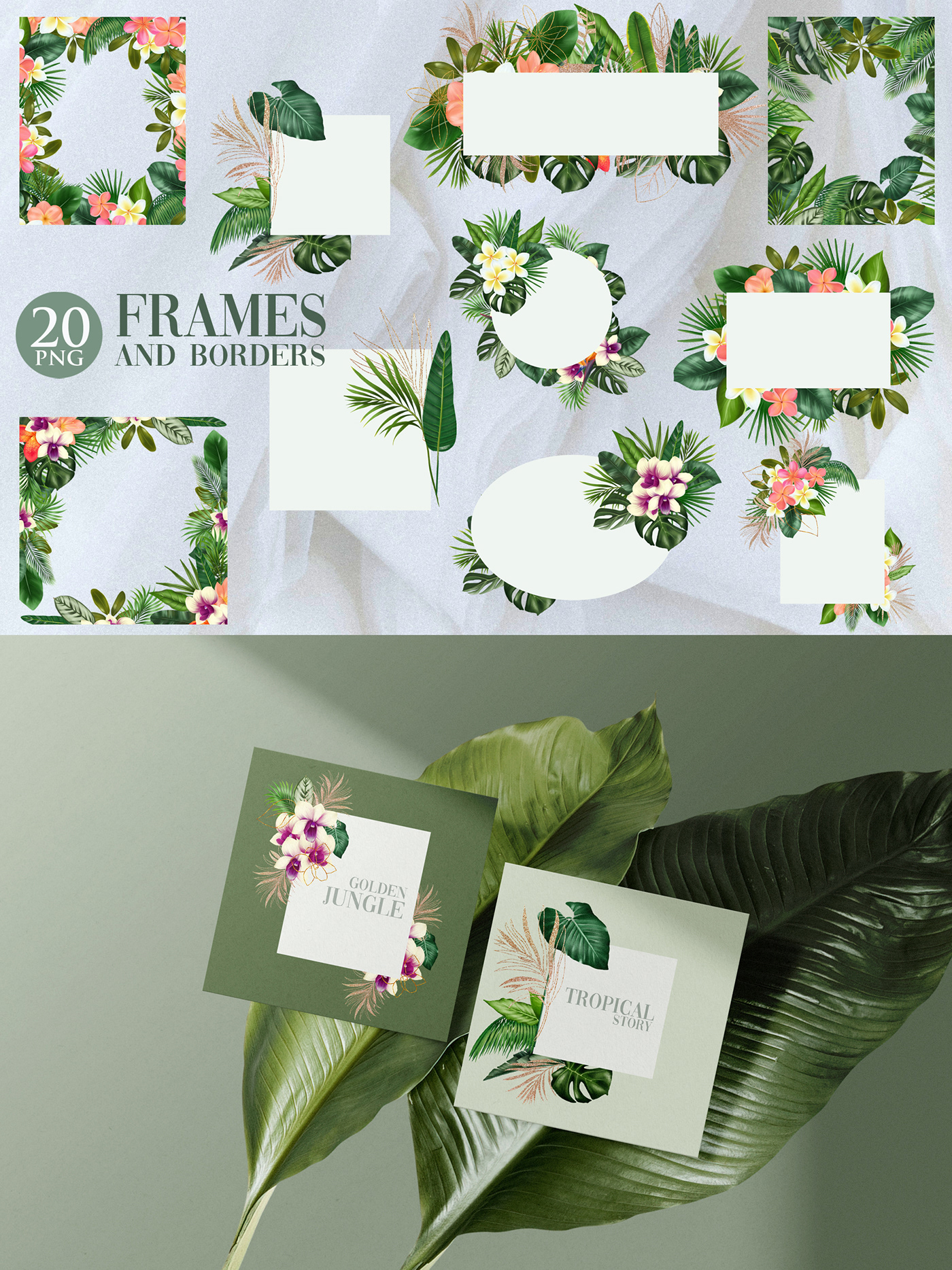 graphic ILLUSTRATION  painting   clipart Flowers botanical floral tropical flowers greenery jungle