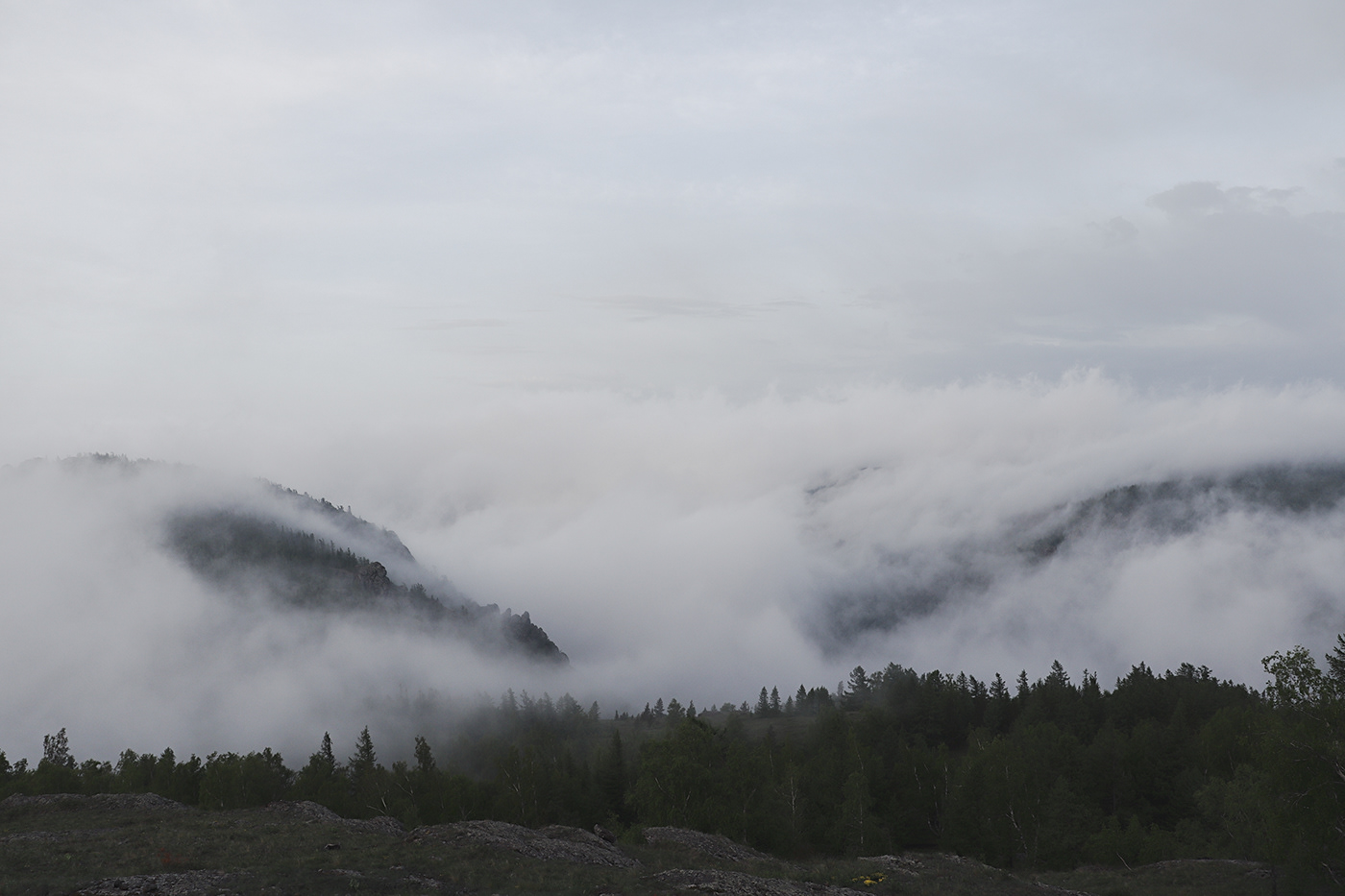 clouds fog forest MORNING mountains Nature photo Project Russia SKY