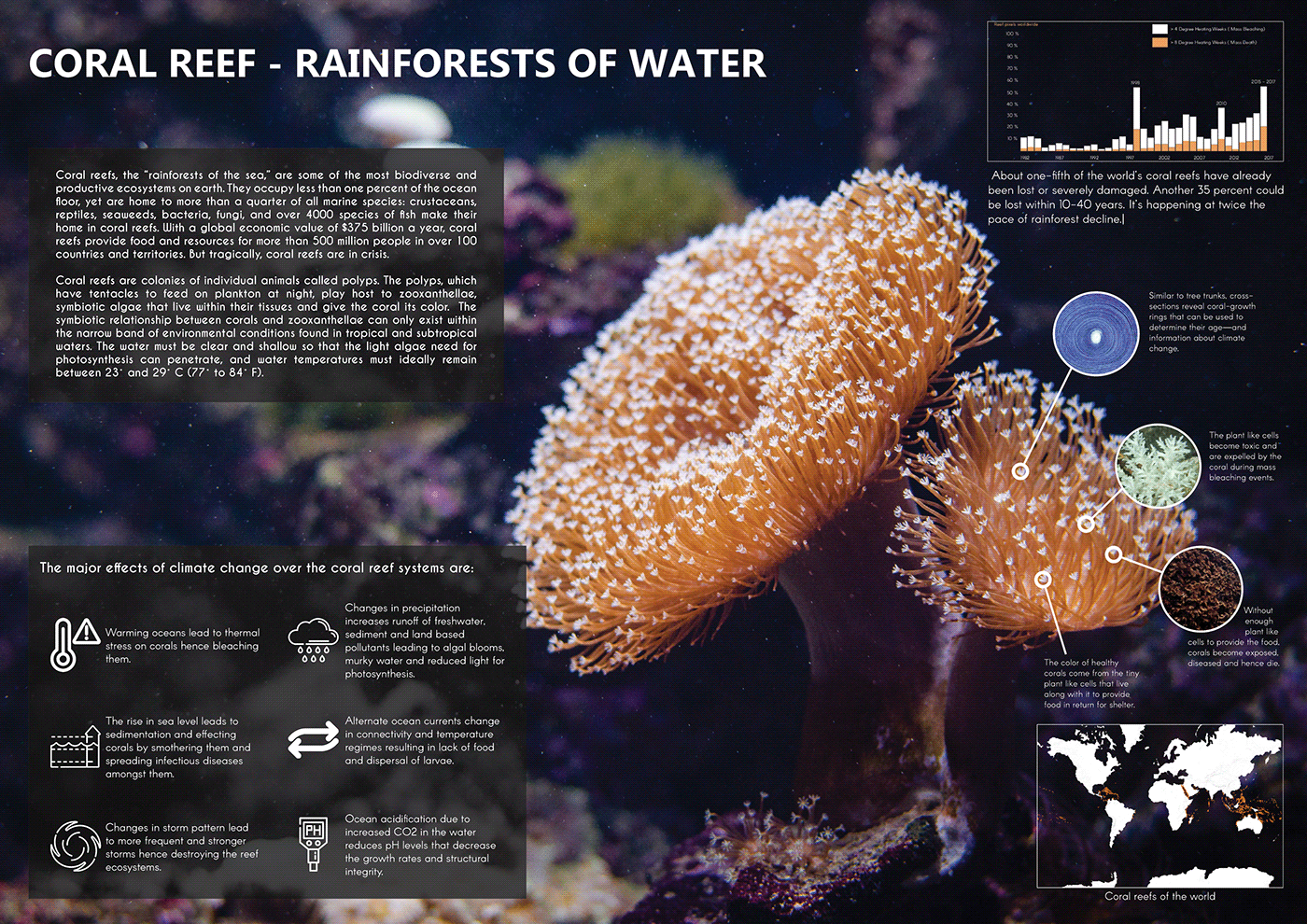 infographic corals climate change impacts coral reefs global warming
