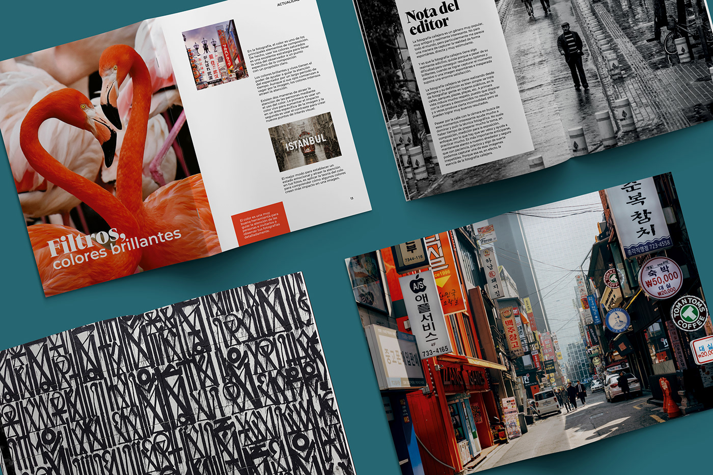 editorial design  InDesign magazine Magazine design Photography  street photography editorial graphic design  Layout Editorial Illustration