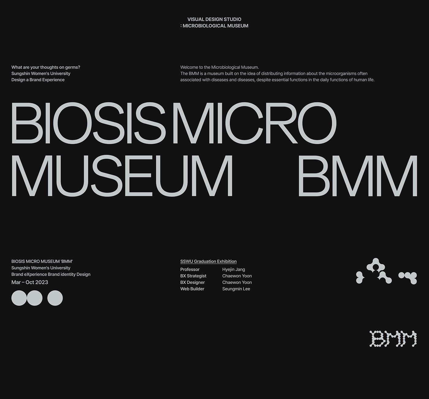 bxdesign branding  brandidentity graphic Brand Design poster visual identity Logo Design typography  