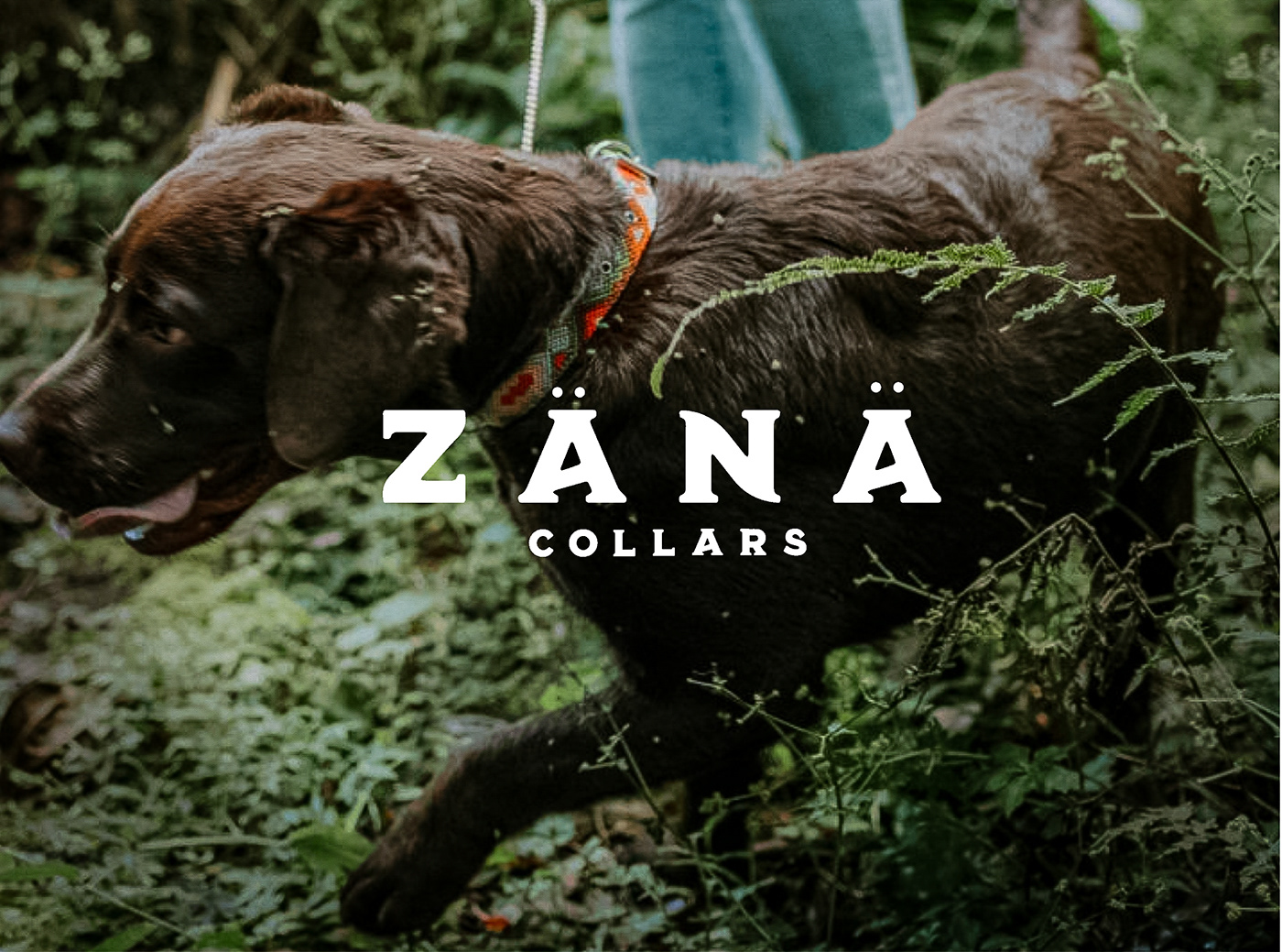Dog Logo collar Necklace pet accessories Costa Rica