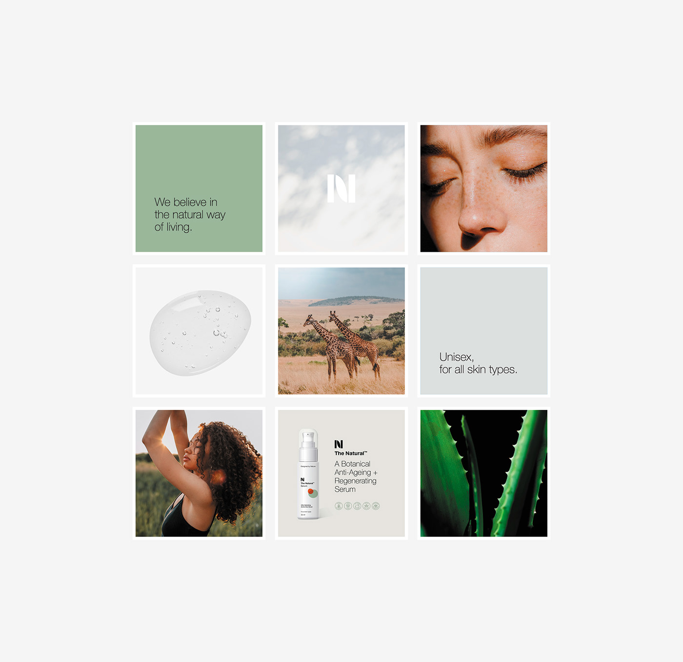 brochure design CI design graphic design  identity Logo Design Packaging skincare