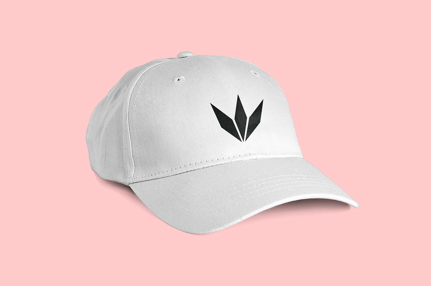 Image contains: Casroy logo elegantly placed on a cap by Humza DZN.
