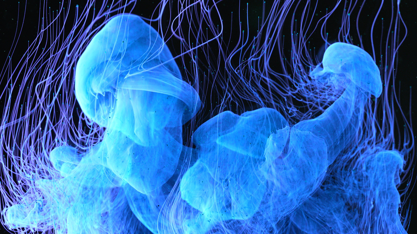 abstract aquatic biolume bioluminescence macro marine organisms Photography  radiolaria uvlight