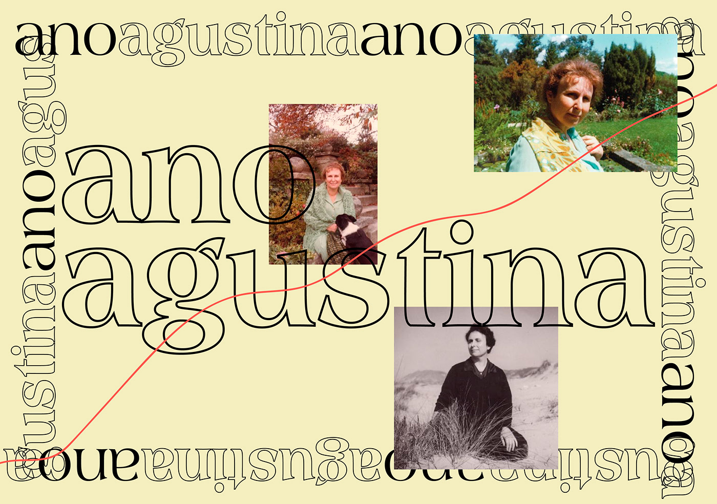 ano agustina Agustina Bessa Luis comunidade cultura arte cca literature Portuguese Literature banner digital design design for web culture