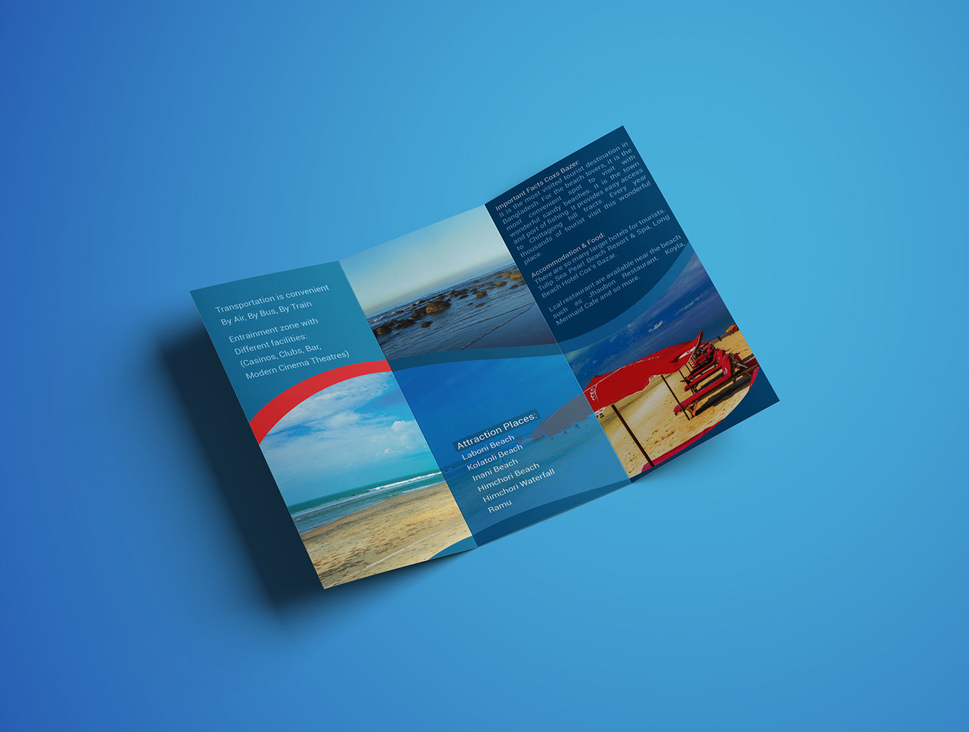 tri-fold brochure graphic design  print design  brochure brochure design