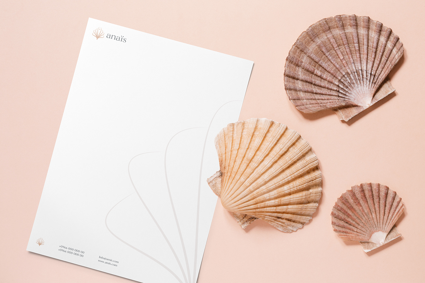 branding  light brown  Logo Design marketing   Photography  seashell Typeface