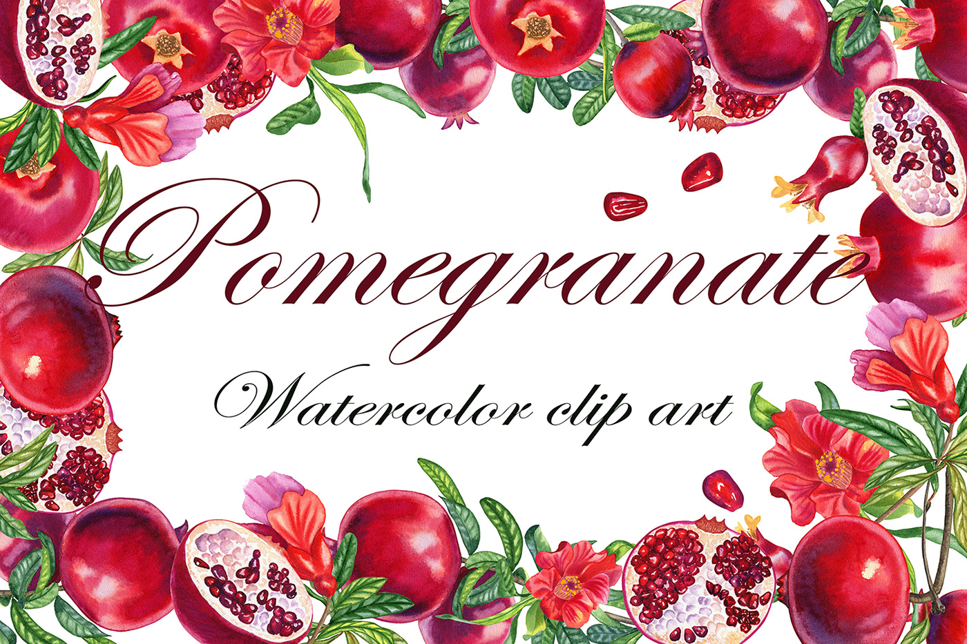 artist botany design fruits illustratoin Patterns Realism watercolor арт pomegranate