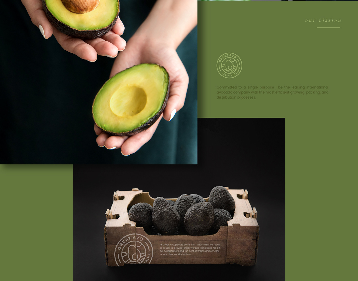 avocado Web design green healthy Food  editorial brand reticle