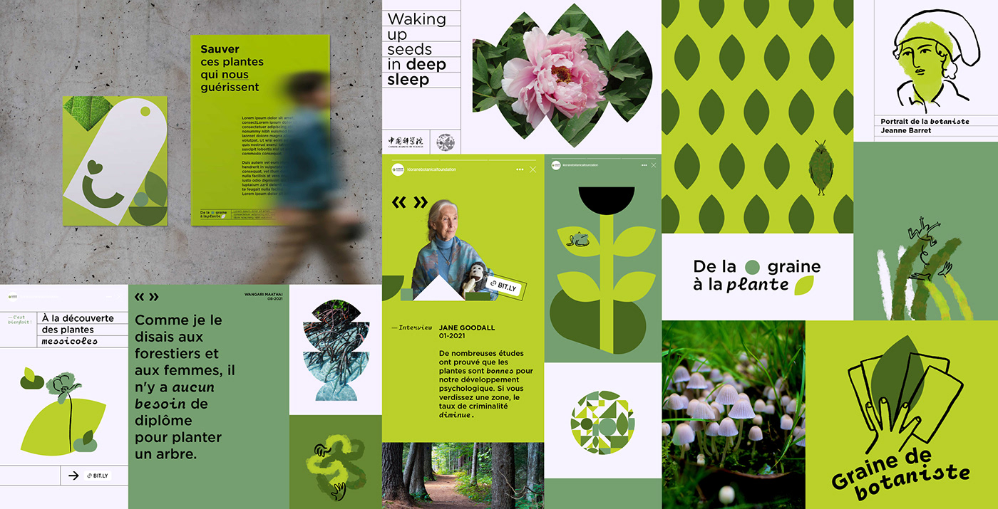 art direction  branding  Ecology foundation green identity plants rse social media story