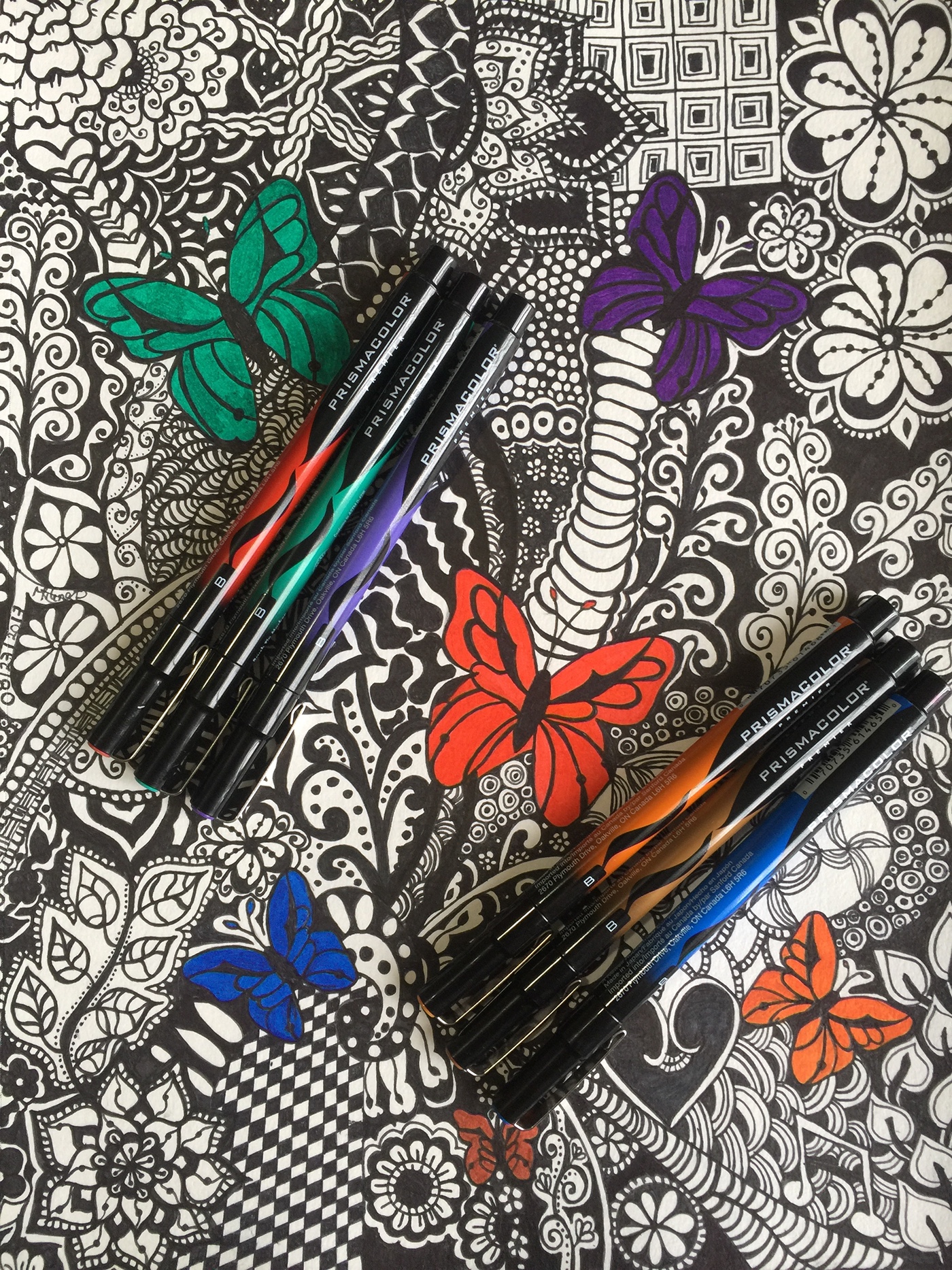 butterfly zentangle art colors black and white