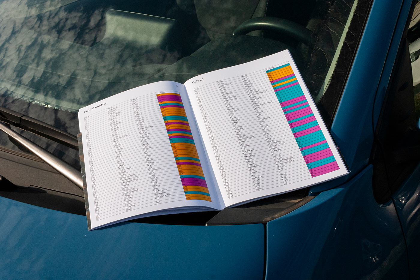 data visualization editorial Booklet greenwashing Layout typography   information design book print car