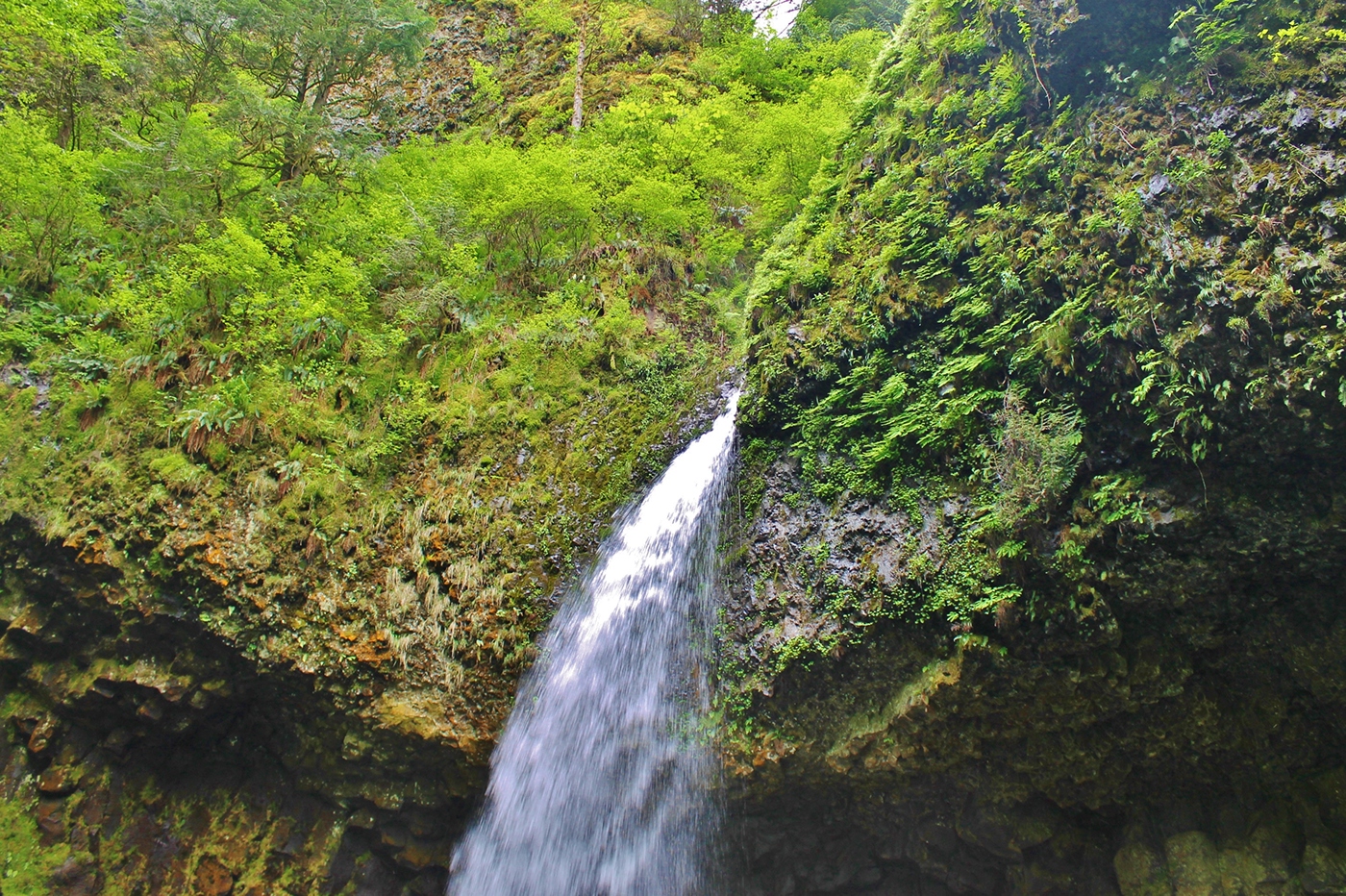 hikes drives green Oregon