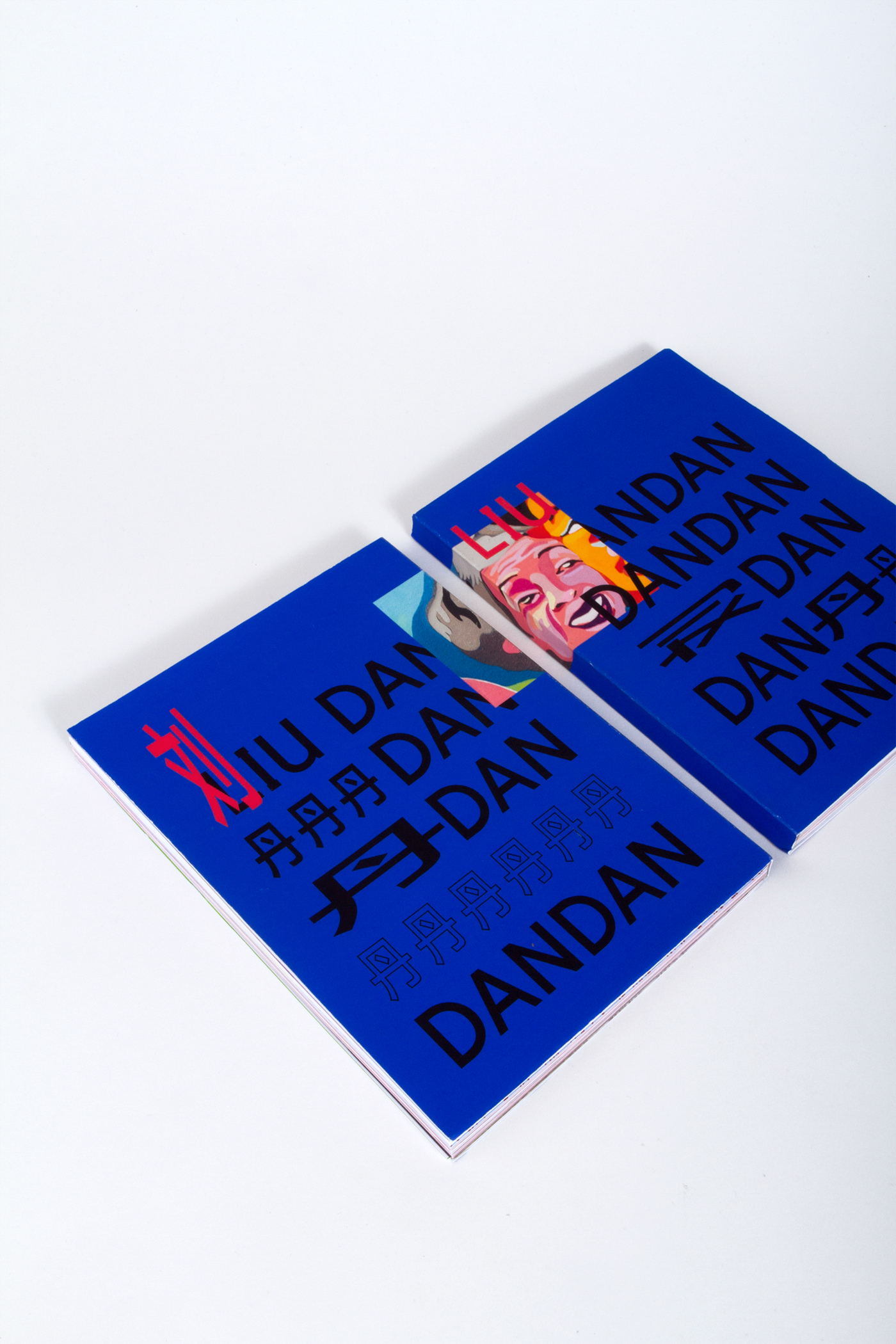book design print design  graphic design  editorial design  painting   Layout Design book