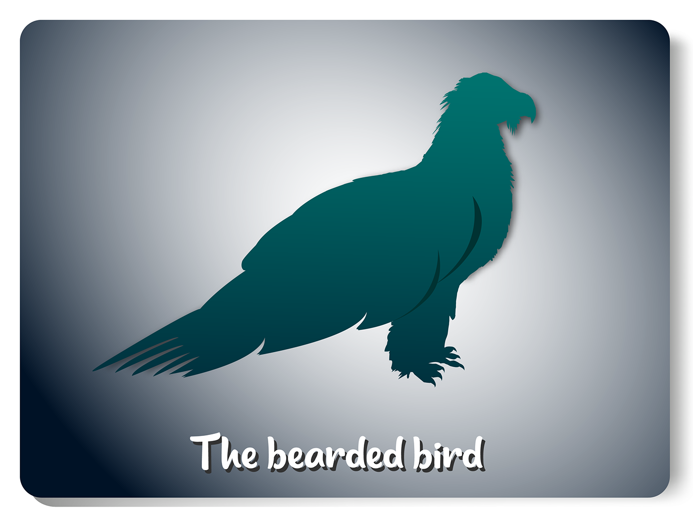 bearded bird bird bird logo brand identity design Logo Design Logotype
