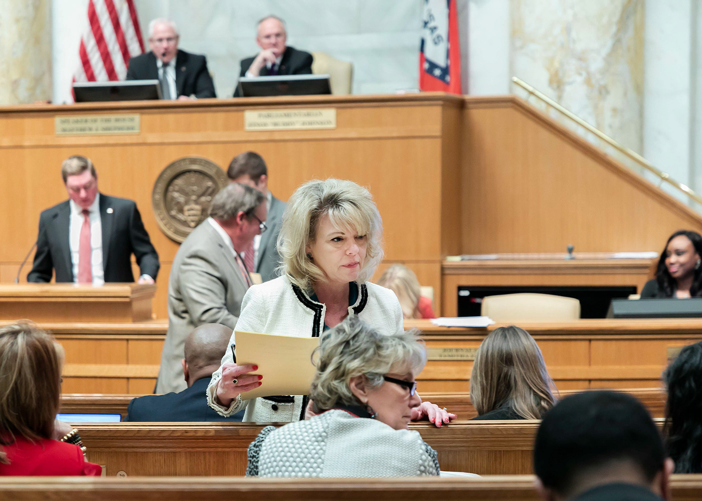 agca Arkansas Legislature representatives Photography  digitalphotography