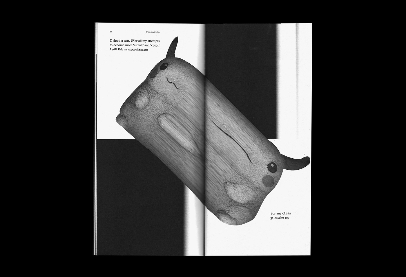 typography   Zine  object scan experimental identity book editorial scanner